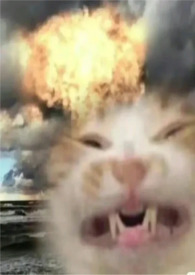 长公主作者查询精神状态